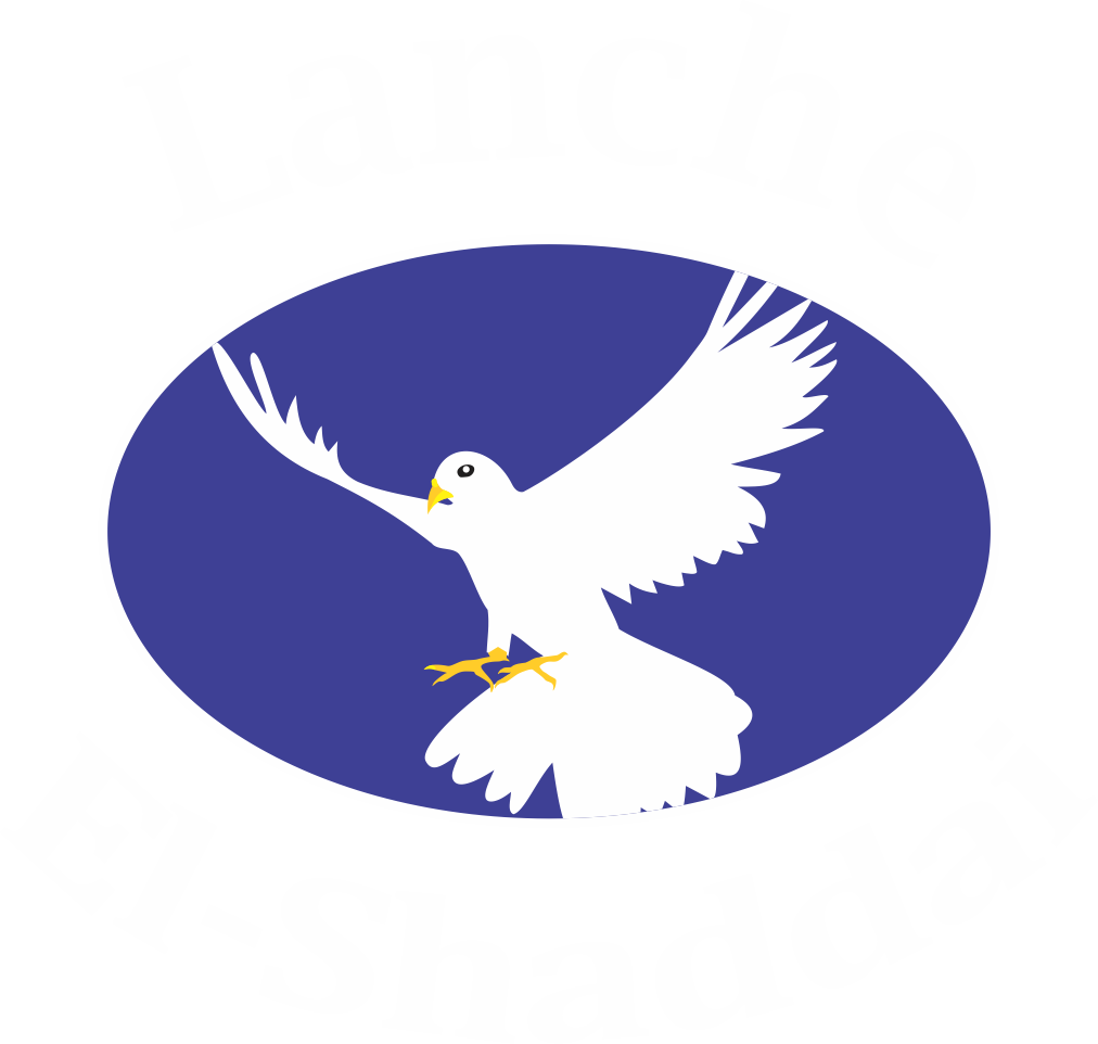 Lanches e Refeições